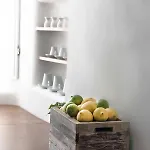 Native Eco